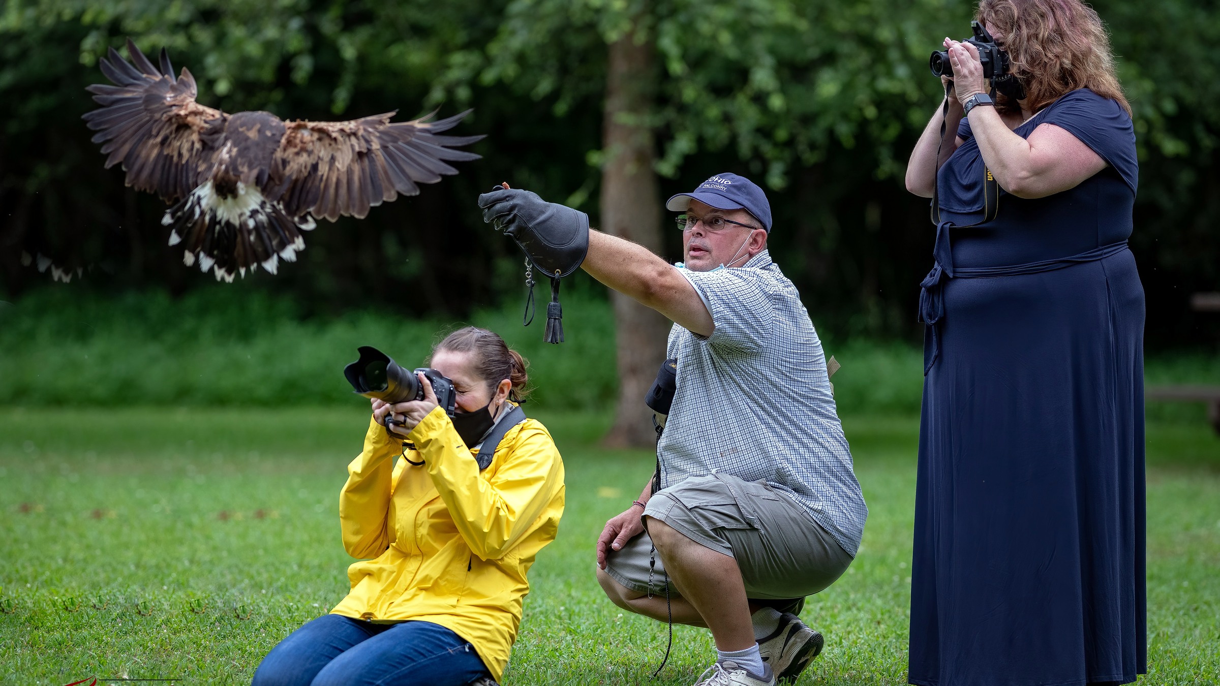 Ohio School of Falconry guests with ambassador hawks after an experience
